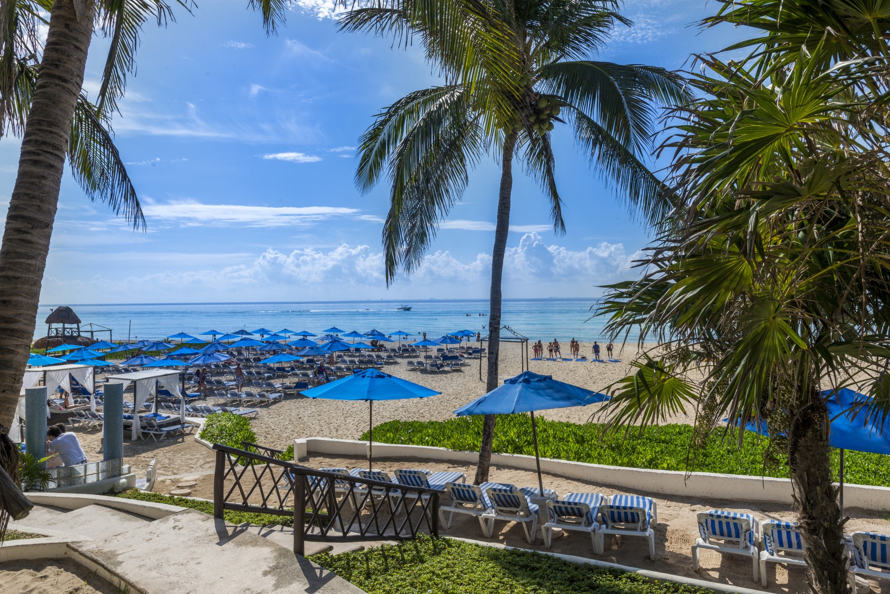 The Reef Playacar